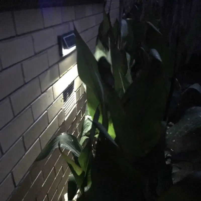 Solar Step Lights - Occasions > Lights