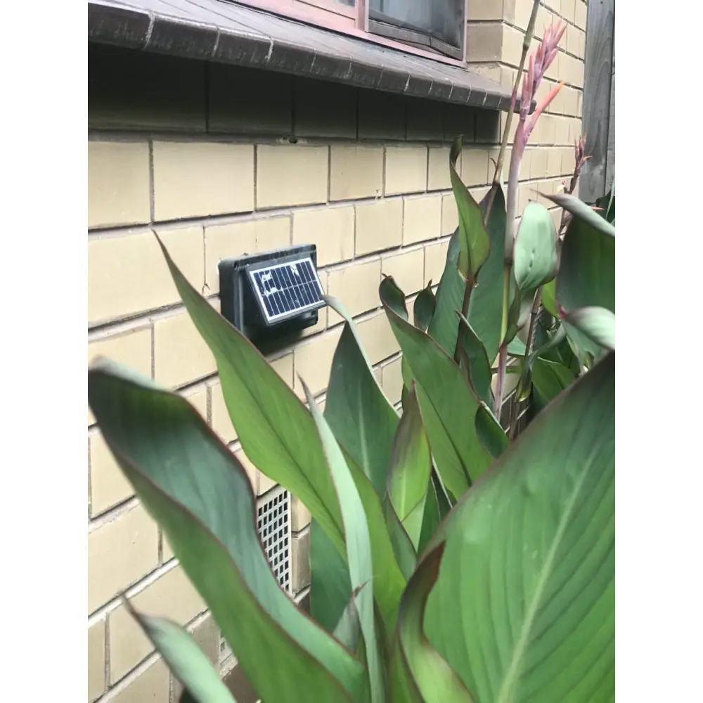 Solar Step Lights - Occasions > Lights