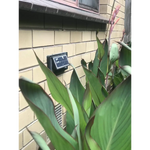 Solar Step Lights - Occasions > Lights
