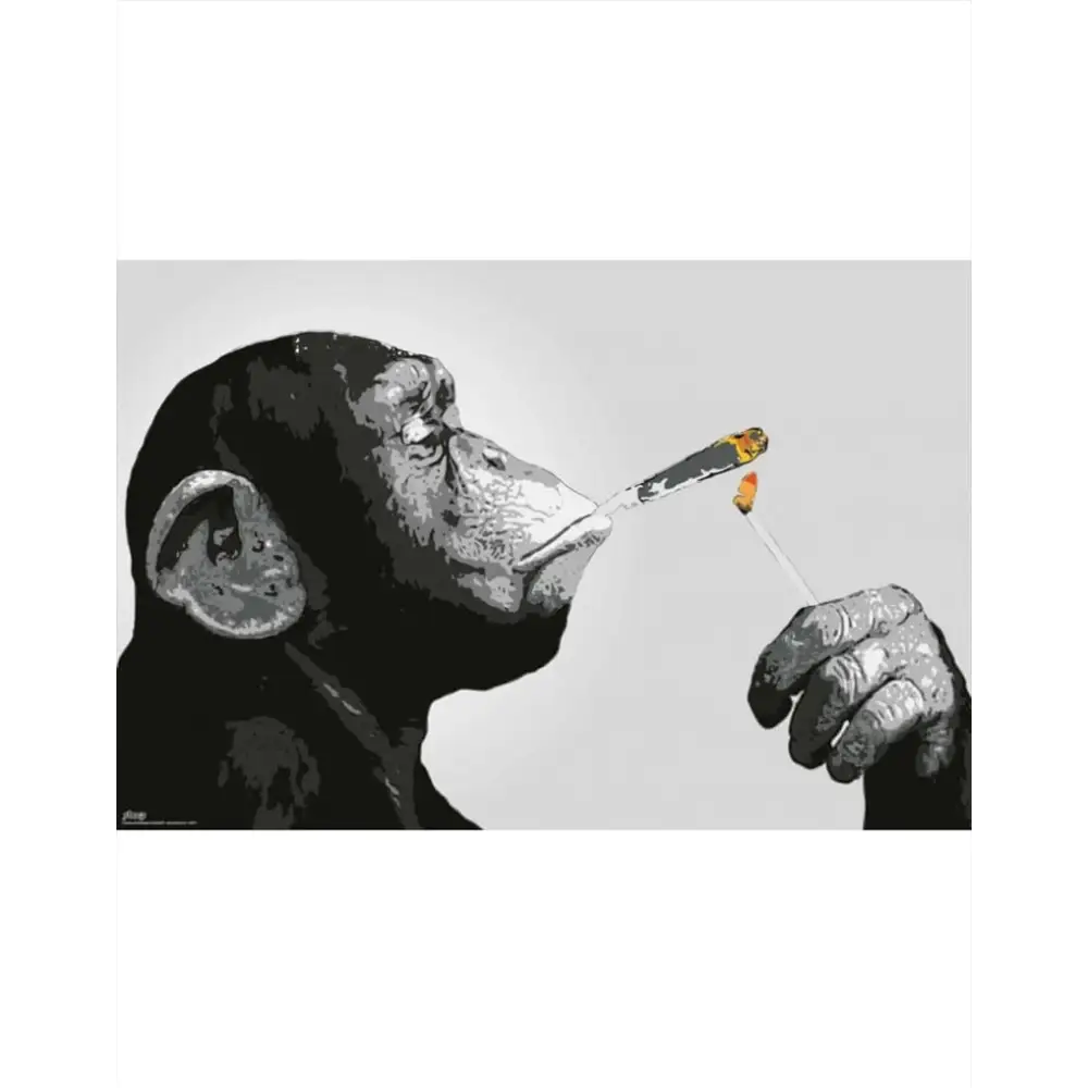 Steez Smoking Chimp Poster - Home & Garden > Wall Art