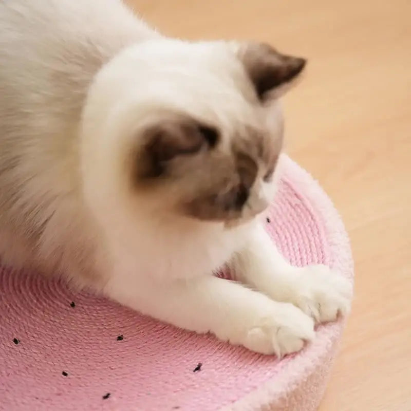 Strawberry-Shaped Cat Scratcher Bed - Fun Sisal Pad for Cats 40*40*10cm - Pet Care > Cat Supplies > Cat Scratchers