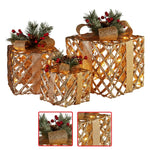 Swishmas Set of 3 Christmas Gift Boxes Display With Lights in Champagne and Gold - Occasions > Christmas > Christmas