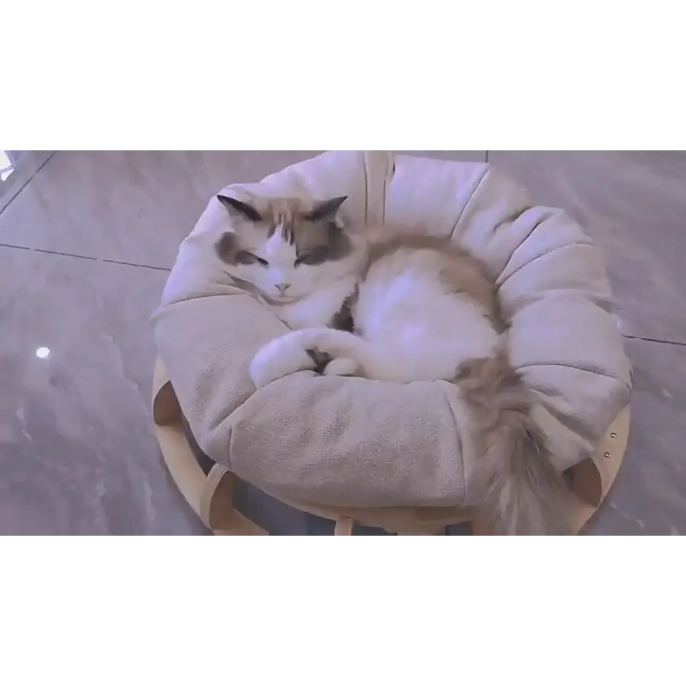 Timber Gyro Cat Nest Bed - Pet Care > Toys > Cat Toys