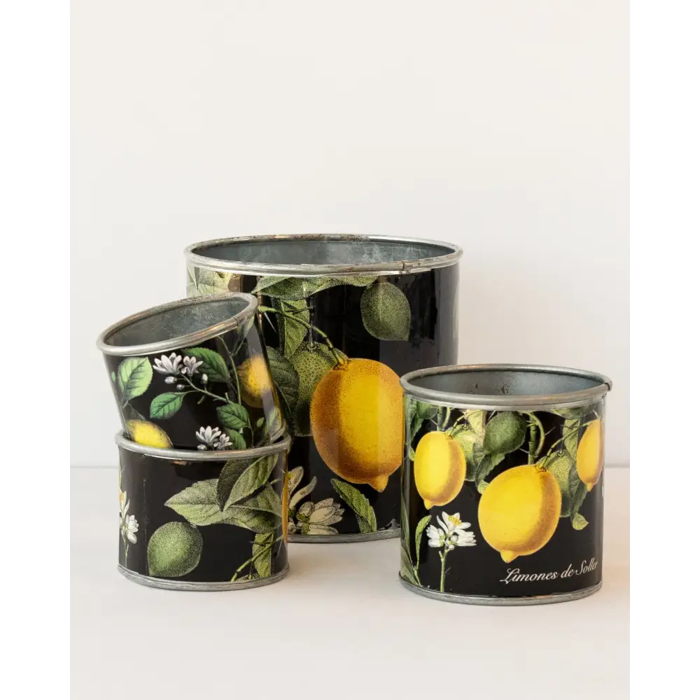 tin-planter-lemons-set-of-4 - Home & Garden > Decor > Garden Ornaments