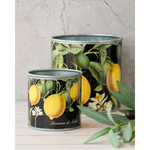 tin-planter-lemons-set-of-4 - Home & Garden > Decor > Garden Ornaments
