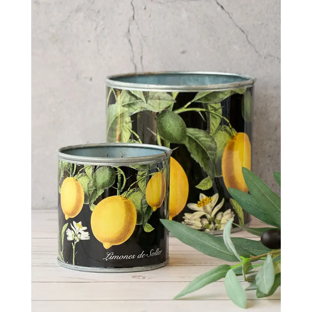 tin-planter-lemons-set-of-4 - Home & Garden > Decor > Garden Ornaments
