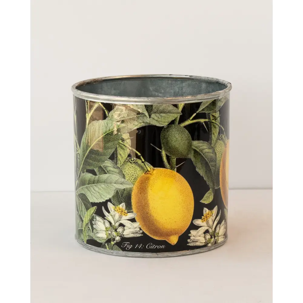 tin-planter-lemons-set-of-4 - Home & Garden > Decor > Garden Ornaments