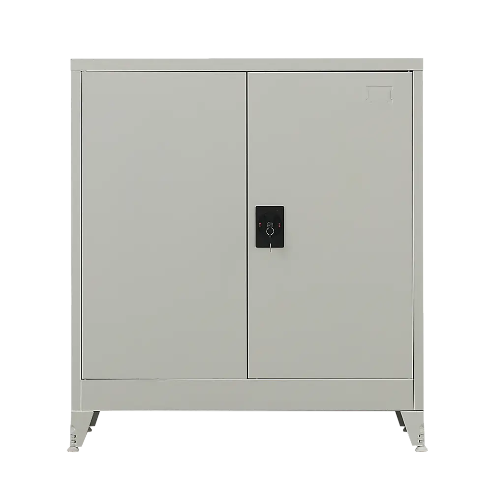 Two-Door Metal Short Cabinet Shelf Storage for Home Office Gym - Furniture > Office