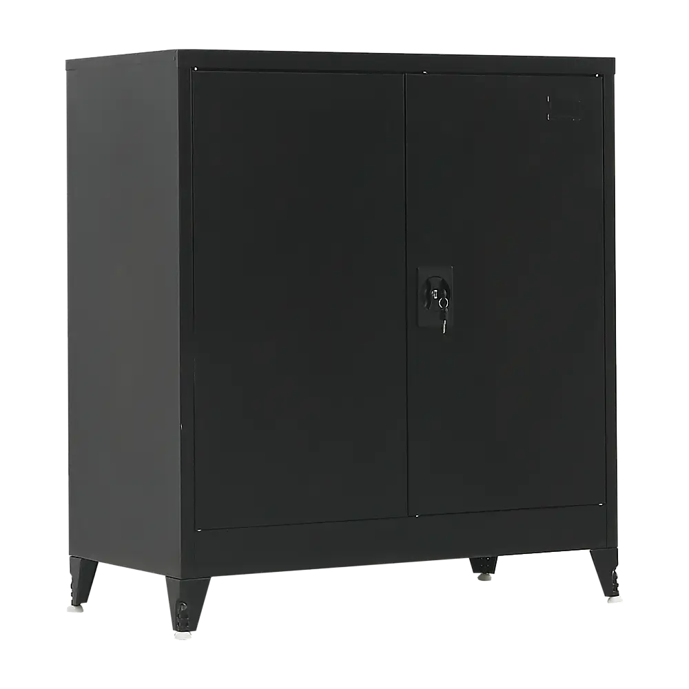 Two-Door Metal Short Cabinet Shelf Storage for Home Office Gym - Furniture > Office