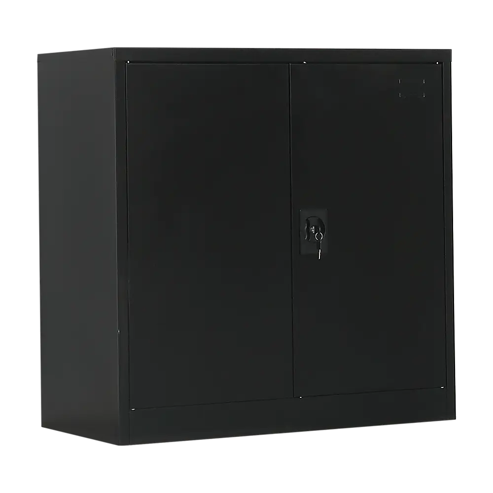 Two-Door Metal Short Cabinet Shelf Storage for Home Office Gym - Furniture > Office