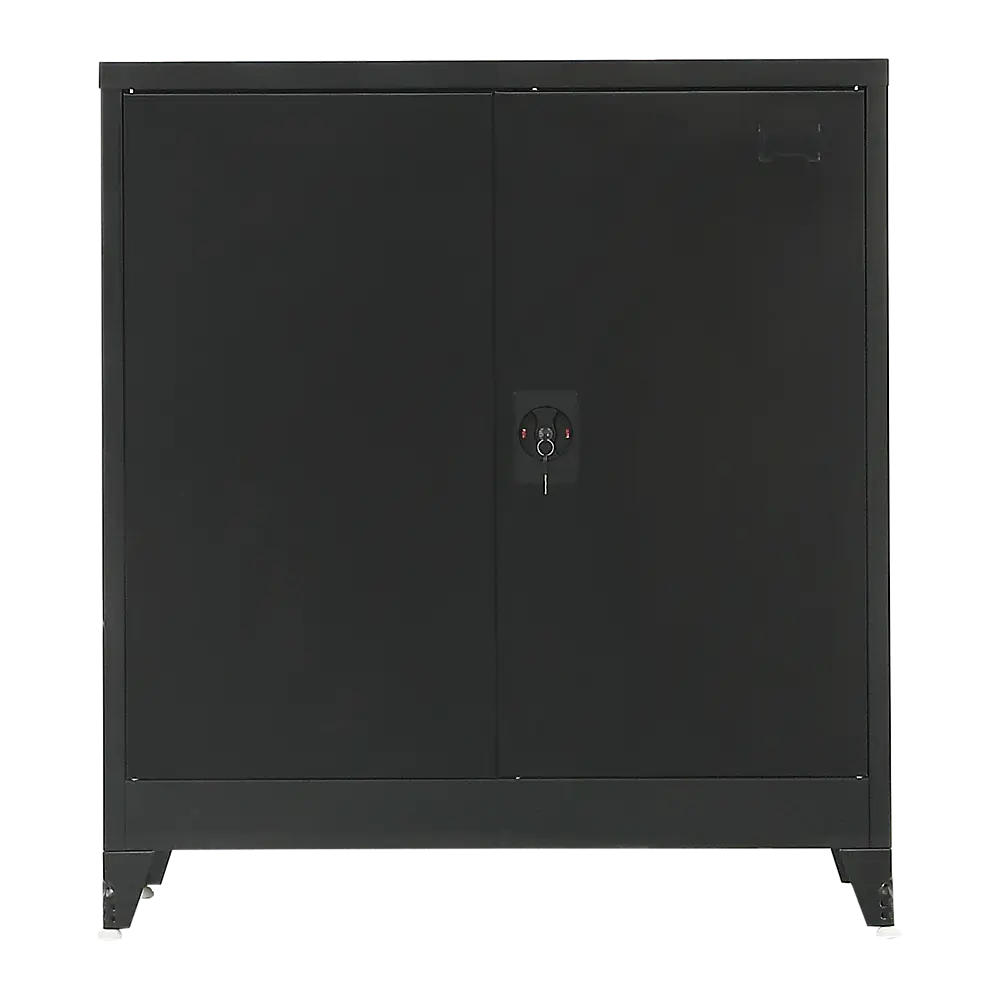Two-Door Metal Short Cabinet Shelf Storage for Home Office Gym - Furniture > Office