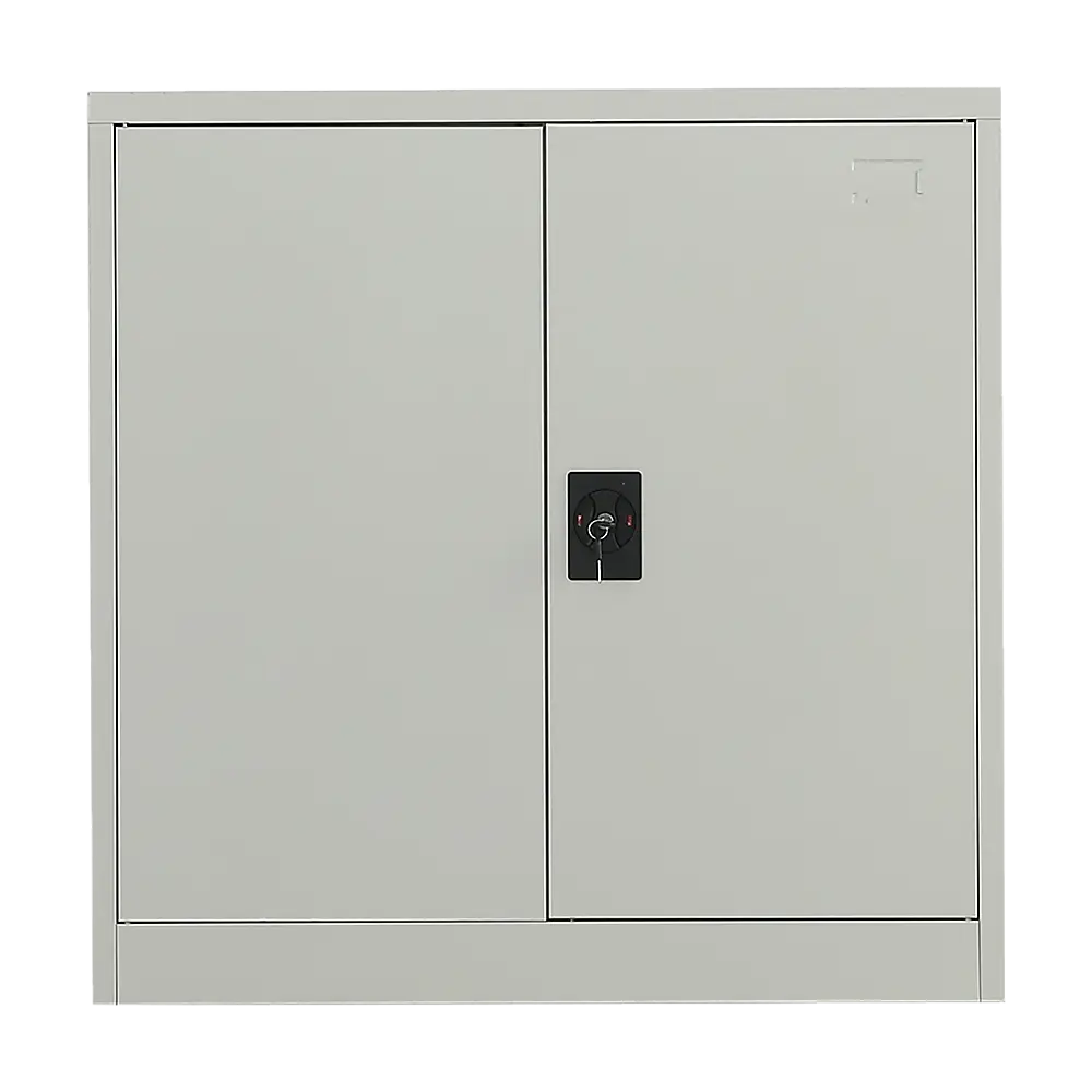 Two-Door Metal Short Cabinet Shelf Storage for Home Office Gym - Furniture > Office