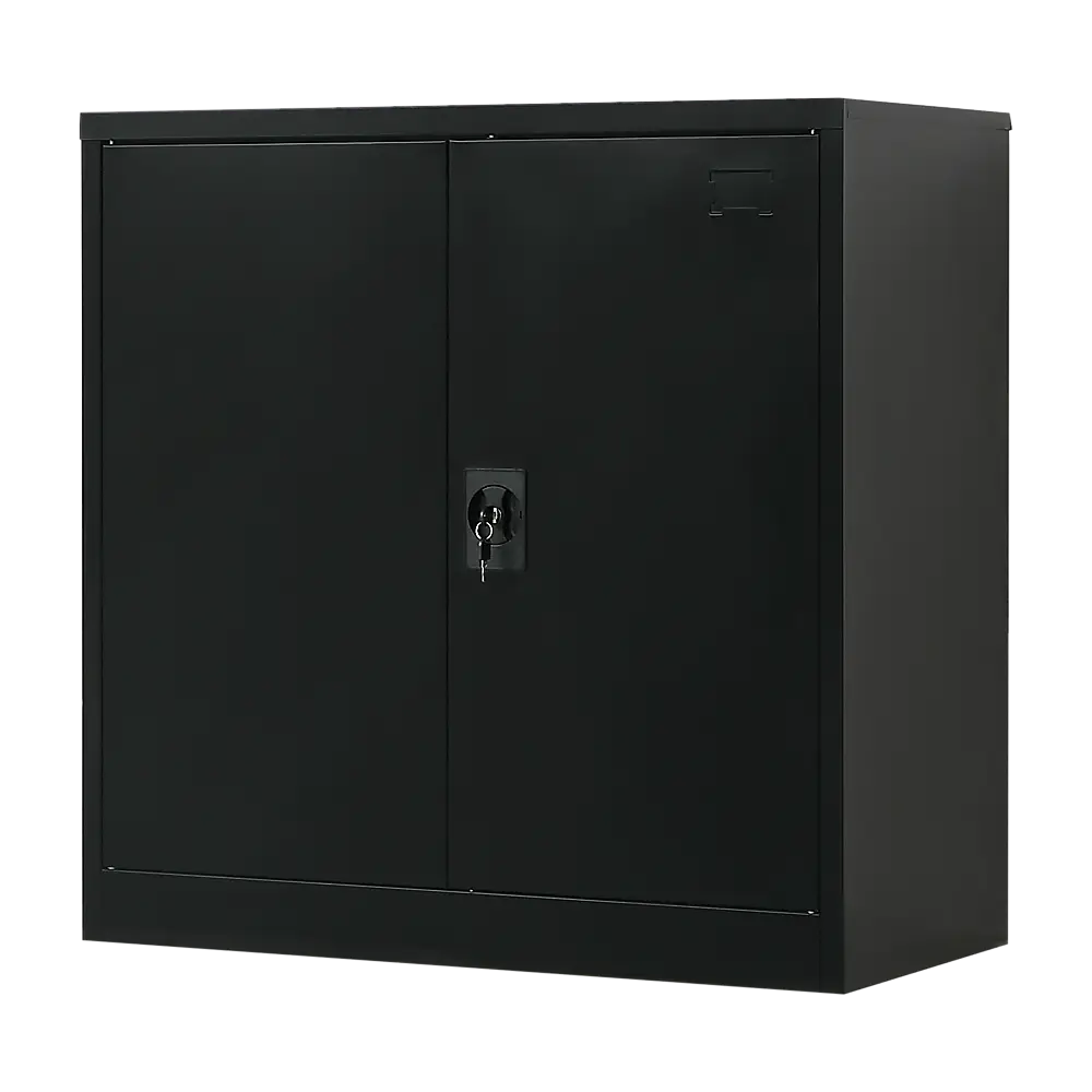 Two-Door Metal Short Cabinet Shelf Storage for Home Office Gym - Furniture > Office