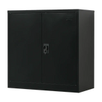 Two-Door Metal Short Cabinet Shelf Storage for Home Office Gym - Furniture > Office