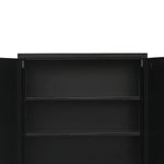 Two-Door Metal Short Cabinet Shelf Storage for Home Office Gym - Furniture > Office