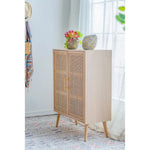 TWO DOOR RATTAN CABINET - Furniture > Dining > Buffets & Sideboards
