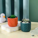 Versatile Vase for Wet and Dry Flowers - Glazed Finish Durable Design - Rose Pink - Home & Garden > Decor > Vases &