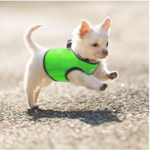 Vest Harness Pet Dog-Cat Step-in Velcro and Buckle Attachments - Moondidley Pets Large Green - Pet Care > Cat Supplies
