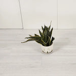 Vinyl Floor Tiles Self Adhesive Flooring Ramin Wood Grain 16 Pack 2.3SQM - Furniture > Office