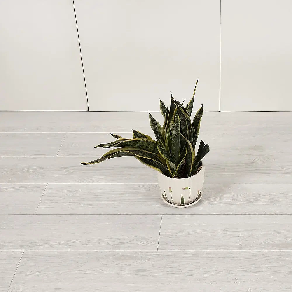 Vinyl Floor Tiles Self Adhesive Flooring Ramin Wood Grain 16 Pack 2.3SQM - Furniture > Office