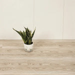 Vinyl Floor Tiles Self Adhesive Flooring Water Dyed Walnut Black Wood Grain 16 Pack 2.3SQM - Furniture > Office
