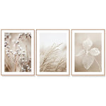 Wall Art 40cmx60cm Dried Flower 3 Sets Wood Frame Canvas - Home & Garden > Wall Art