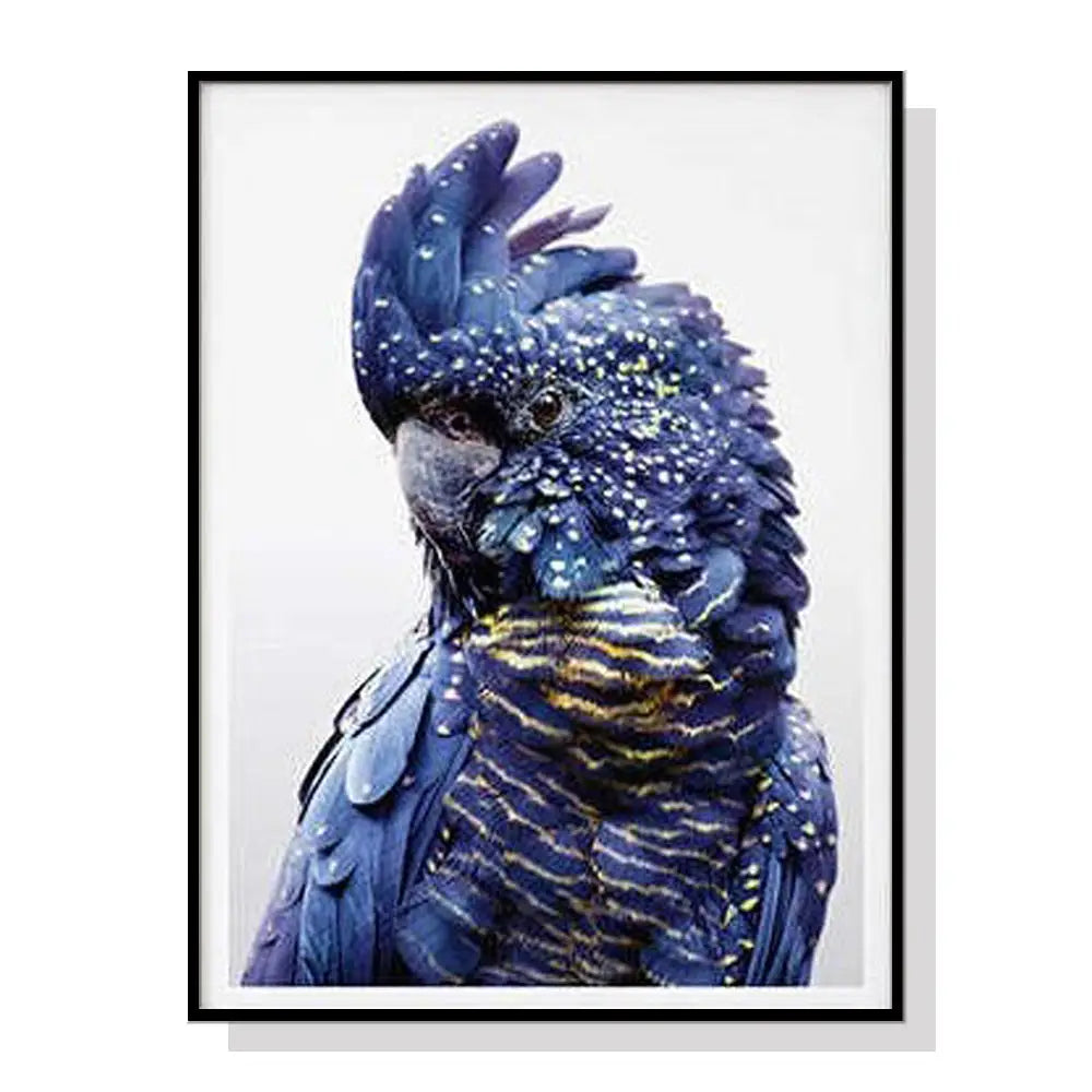 Wall Art 50cmx70cm Black Cockatoo A Black Frame Canvas - Home & Garden > Wall Art