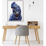 Wall Art 50cmx70cm Black Cockatoo A Black Frame Canvas - Home & Garden > Wall Art