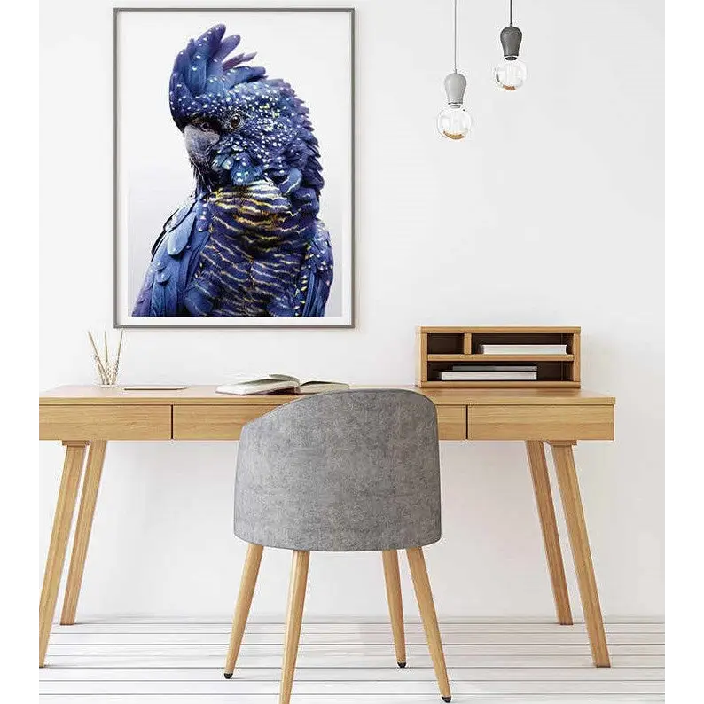 Wall Art 50cmx70cm Black Cockatoo A Black Frame Canvas - Home & Garden > Wall Art