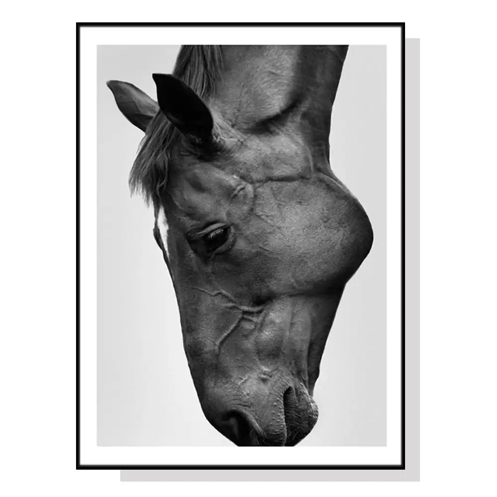 Wall Art 60cmx90cm Modern Black Horse Black Frame Canvas - Home & Garden > Wall Art