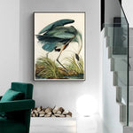 Wall Art 70cmx100cm Great Blue Heron By John James Audubon Black Frame Canvas - Home & Garden > Wall Art