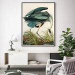 Wall Art 70cmx100cm Great Blue Heron By John James Audubon Black Frame Canvas - Home & Garden > Wall Art
