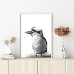 Wall Art 90cmx135cm Kookaburra Black Frame Canvas - Home & Garden > Wall Art
