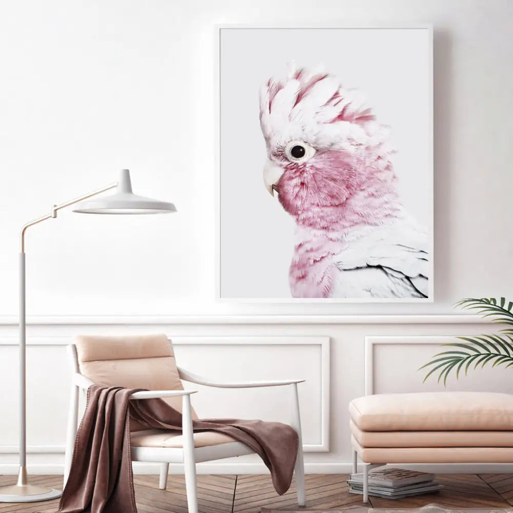Wall Art 90cmx135cm Pink Galah White Frame Canvas - Home & Garden > Wall Art