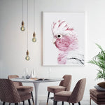 Wall Art 90cmx135cm Pink Galah White Frame Canvas - Home & Garden > Wall Art
