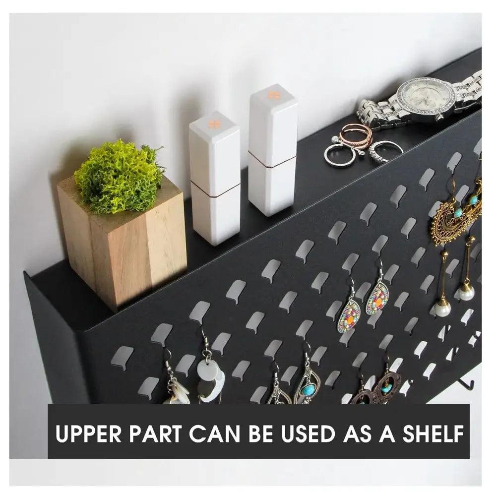 Wall Mount Earring Jewelry Hanger Organizer Holder with 109 Holes and 19 Hooks (Black) - Home & Garden > Storage