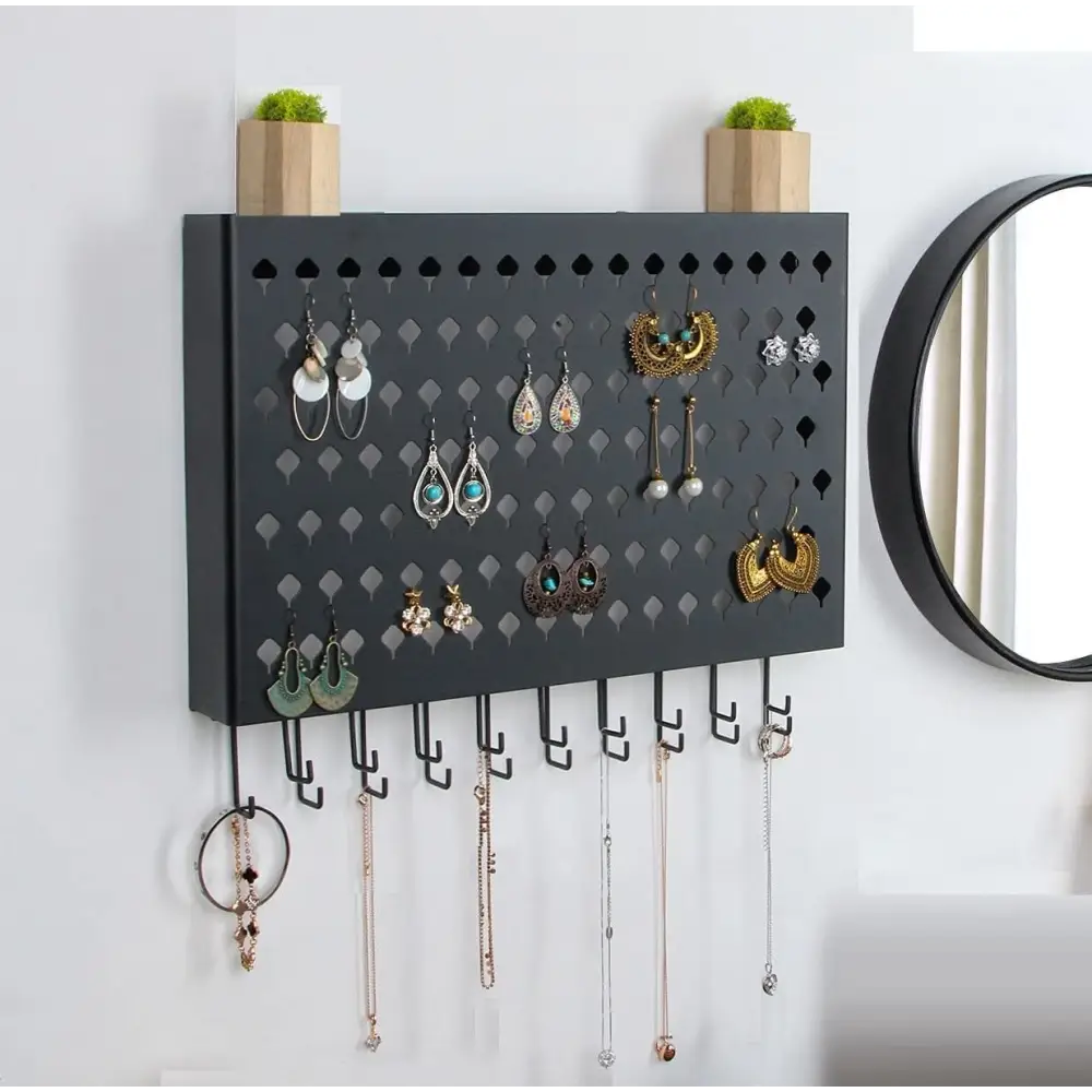 Wall Mount Earring Jewelry Hanger Organizer Holder with 109 Holes and 19 Hooks (Black) - Home & Garden > Storage