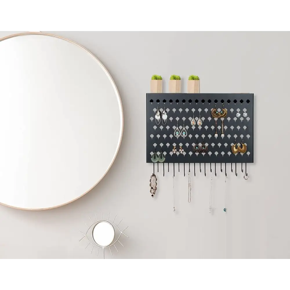 Wall Mount Earring Jewelry Hanger Organizer Holder with 109 Holes and 19 Hooks (Black) - Home & Garden > Storage