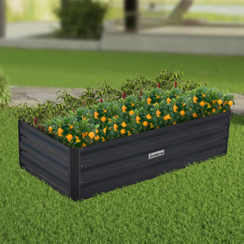Wallaroo Garden Bed 120 x 60 x 30cm Galvanized Steel - Black - Home & Garden > Garden Beds