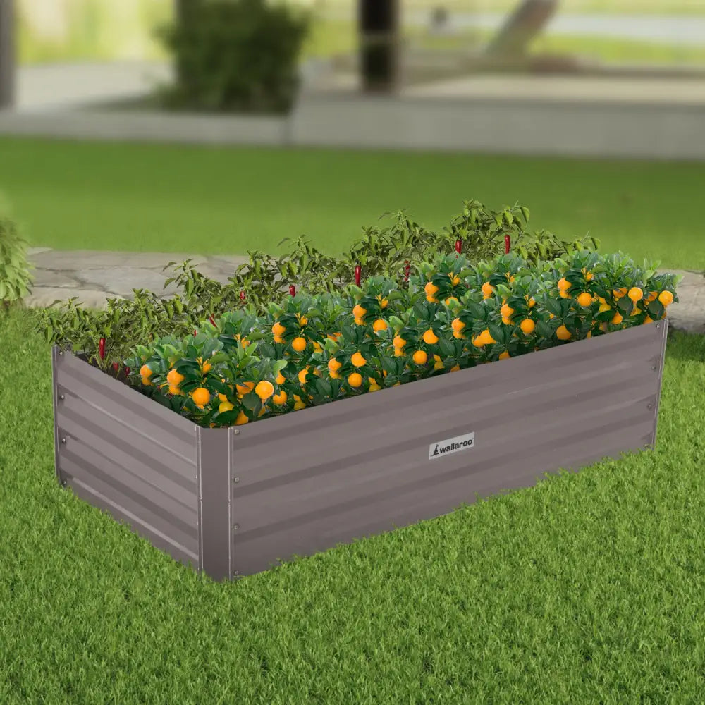 Wallaroo Garden Bed 120 x 60 x 30cm Galvanized Steel - Grey - Home & Garden > Garden Beds
