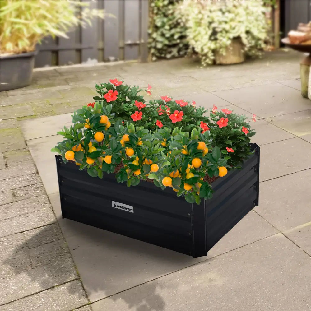 Wallaroo Garden Bed 80 x 60 x 30cm Galvanized Steel - Black - Home & Garden > Garden Beds