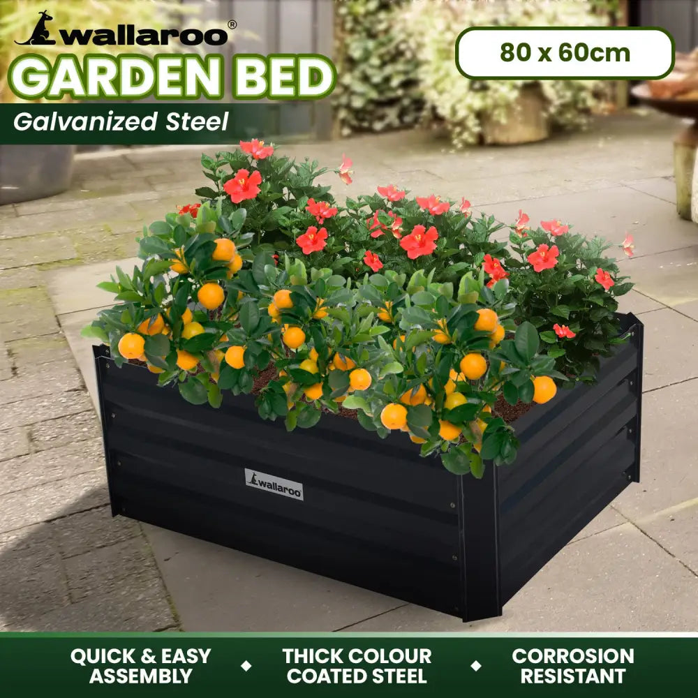 Wallaroo Garden Bed 80 x 60 x 30cm Galvanized Steel - Black - Home & Garden > Garden Beds
