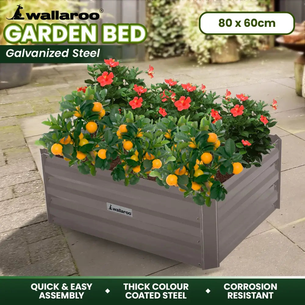 Wallaroo Garden Bed 80 x 60 x 30cm Galvanized Steel - Grey - Home & Garden > Garden Beds