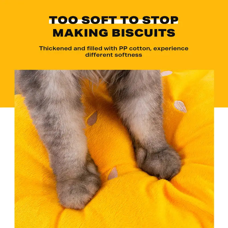Washable Hamburger Pet Cat Dogs Bed - Pet Care > Cat Supplies > Cat Furniture
