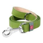 Waudog Flat Leather Clip Leash 25MM GREEN 122CM - Pet Care > Dog Supplies > Dog Collars Leads & Harnesses