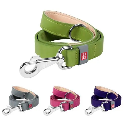 Waudog Flat Leather Clip Leash 25MM GREEN 122CM - Pet Care > Dog Supplies > Dog Collars Leads & Harnesses