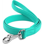 Waudog Leather Flat Clip Leash W25MM - L122CM MINT - Pet Care > Dog Supplies > Dog Collars Leads & Harnesses