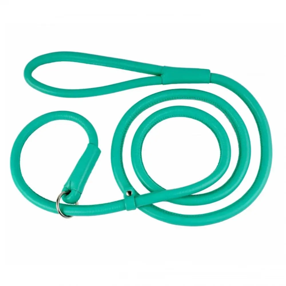 Waudog Leather Round Slip Leash W10MM-L183CM MINT - Pet Care > Dog Supplies > Dog Collars Leads & Harnesses