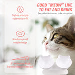White Double Cat Bowl Pet Bowls Stand Dog Elevated Feeder Food Water Raised Lifted - Pet Care > Dog Supplies > Dog