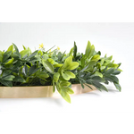 YES4HOMES Artificial Green Wall Plant Garden Panel Daffodil Smile Disc Art 50cm Grassy UV Resistant Frame - Home &